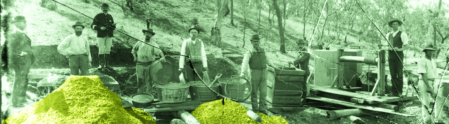 Gold prospectors